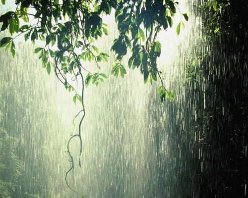 বৃষ্টি বাড়বে বৃহস্পতিবার থেকে, প্রস্তুত থাকুন বৃষ্টিমুখর সপ্তাহের জন্য
